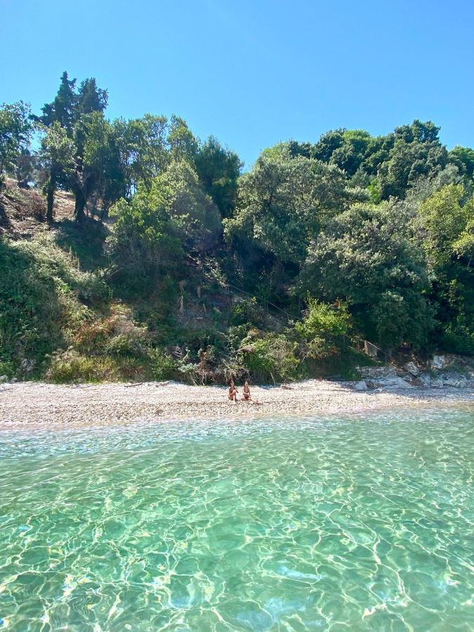 Thalia Estate Agios Spyridon (Corfu)