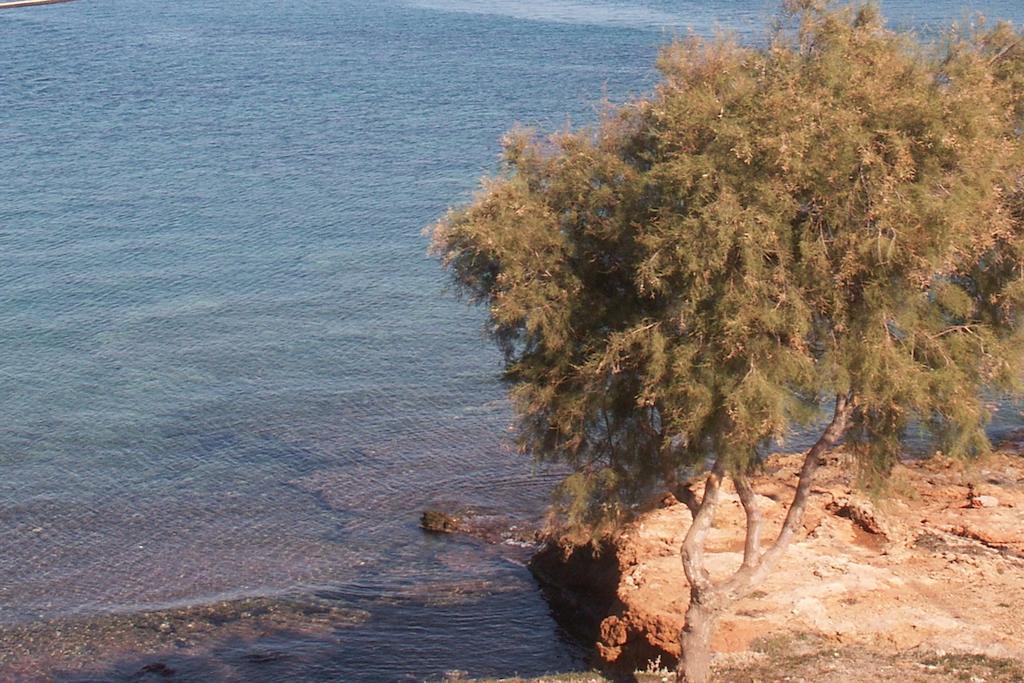 Anemelia Vari (Syros)