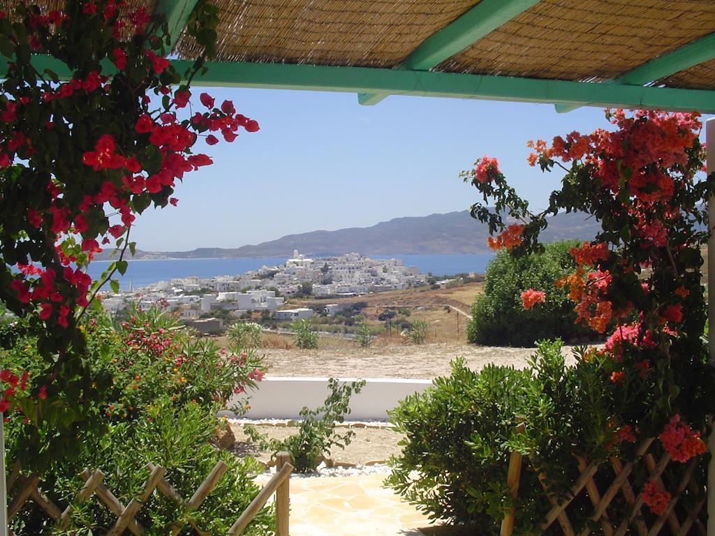 Apartment Psilandis