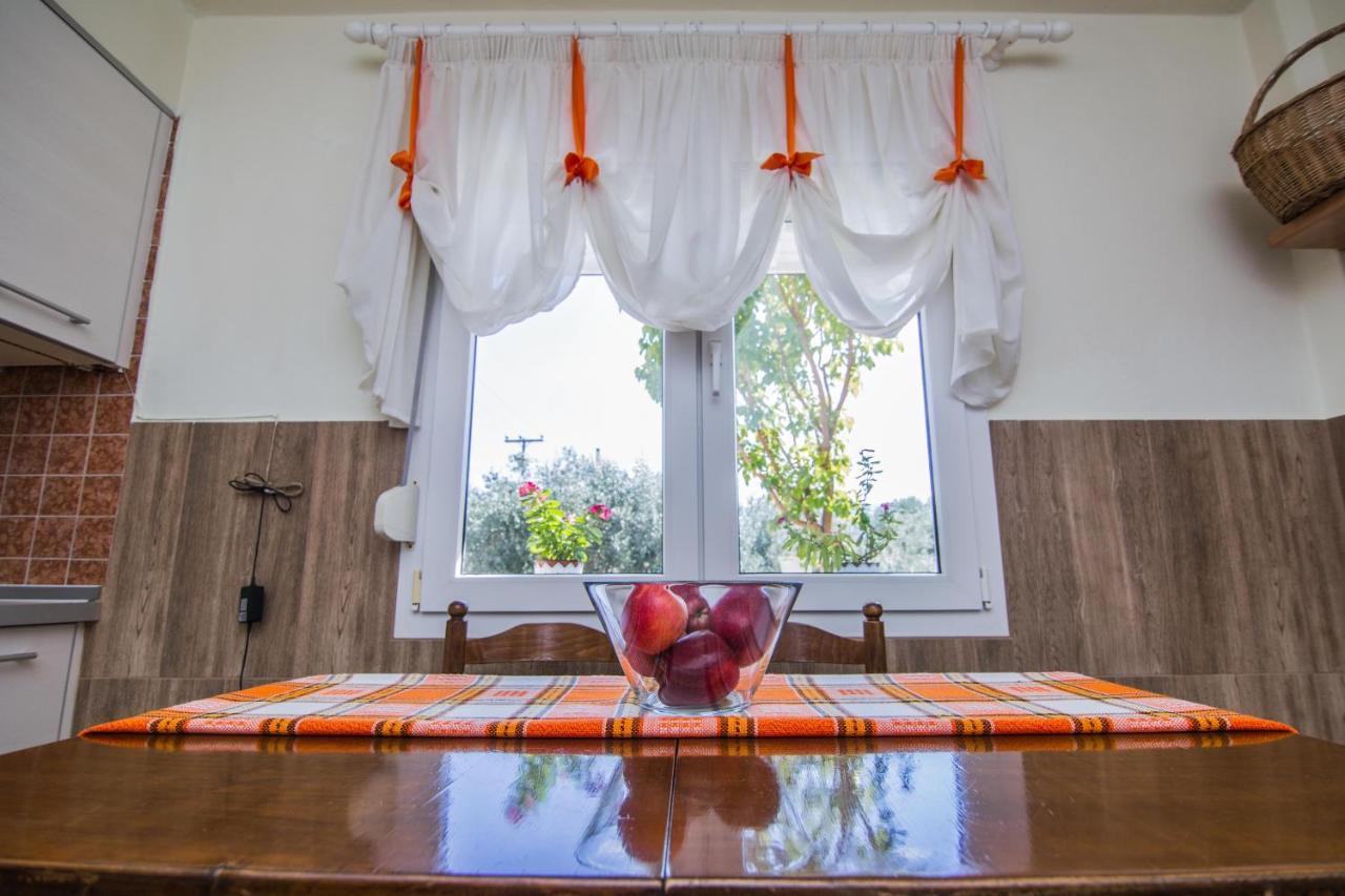 Oikia Mpaki Holiday home Leptokarya (Pieria)