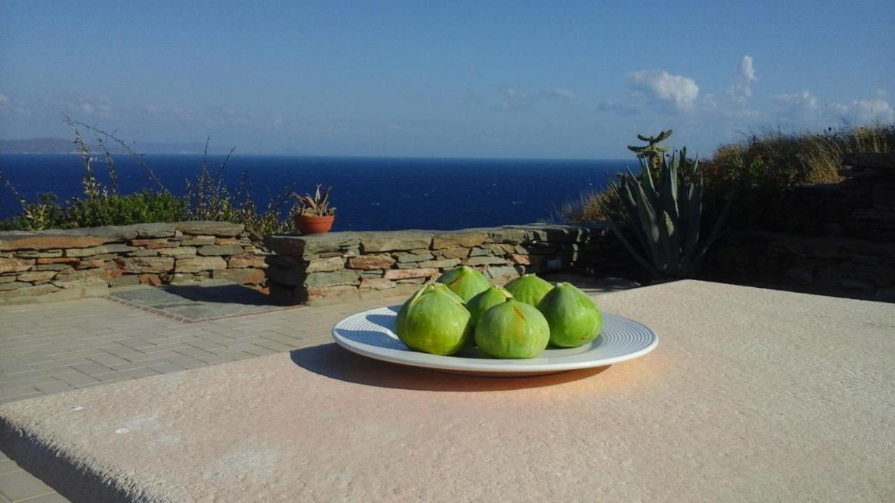 Au Paradis Bleu Apartment