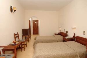 Zeus Palm Hotel Stalida