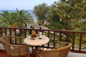 Zeus Palm Hotel