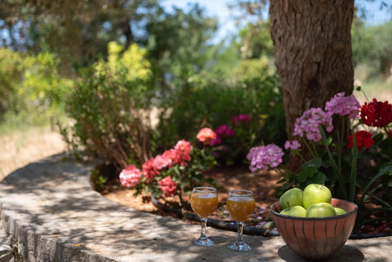 Aura Traditional Apartment Prines (Rethymno)