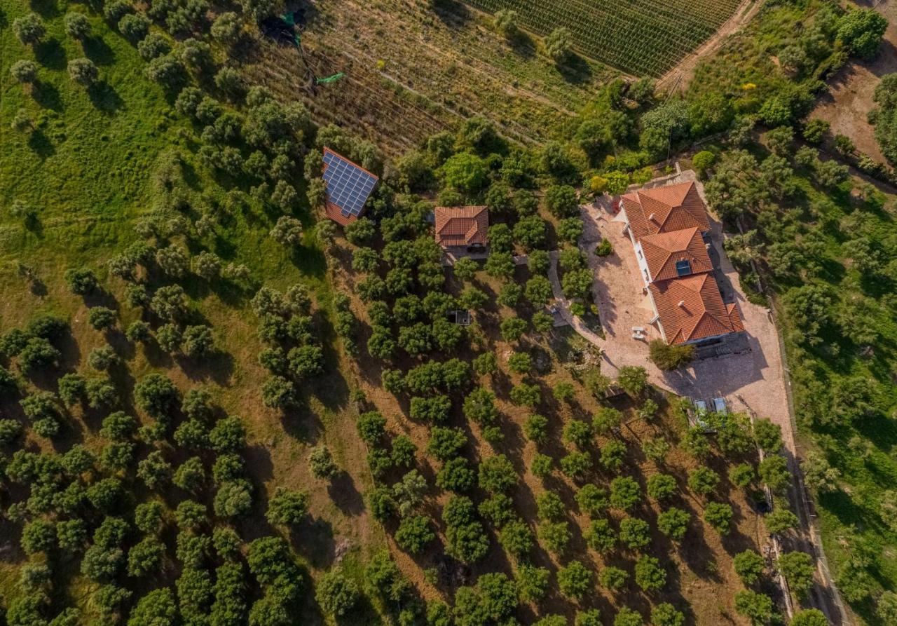Ionianeon Agios Ilias (Elis)