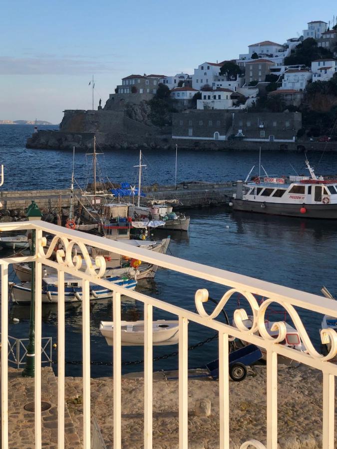 Hydra's View