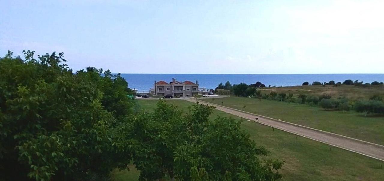 Dimitri - Seaview Alexandroupoli