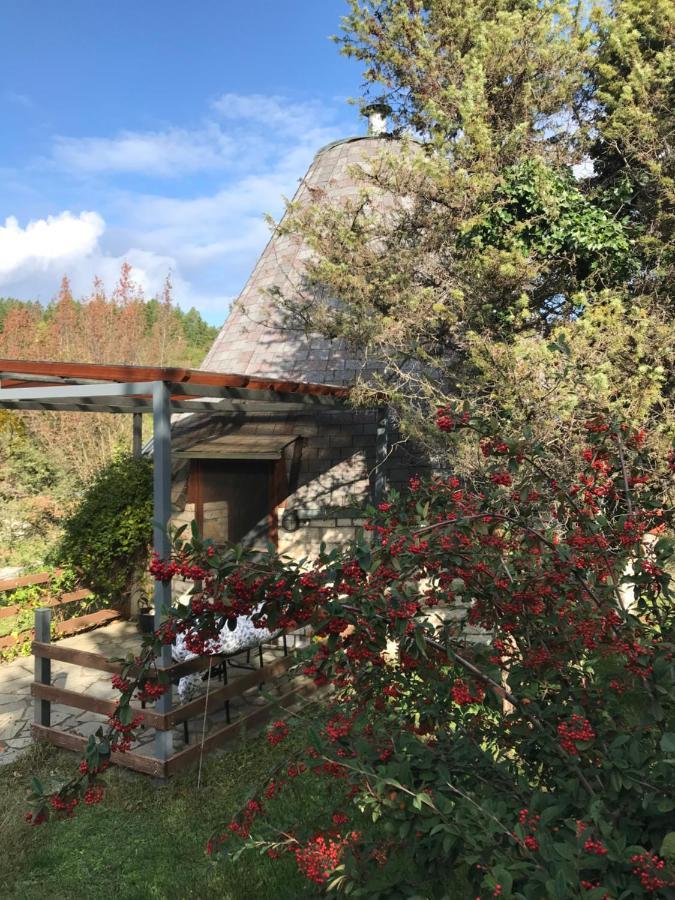 Lodge Theasis-igloo Pramanta