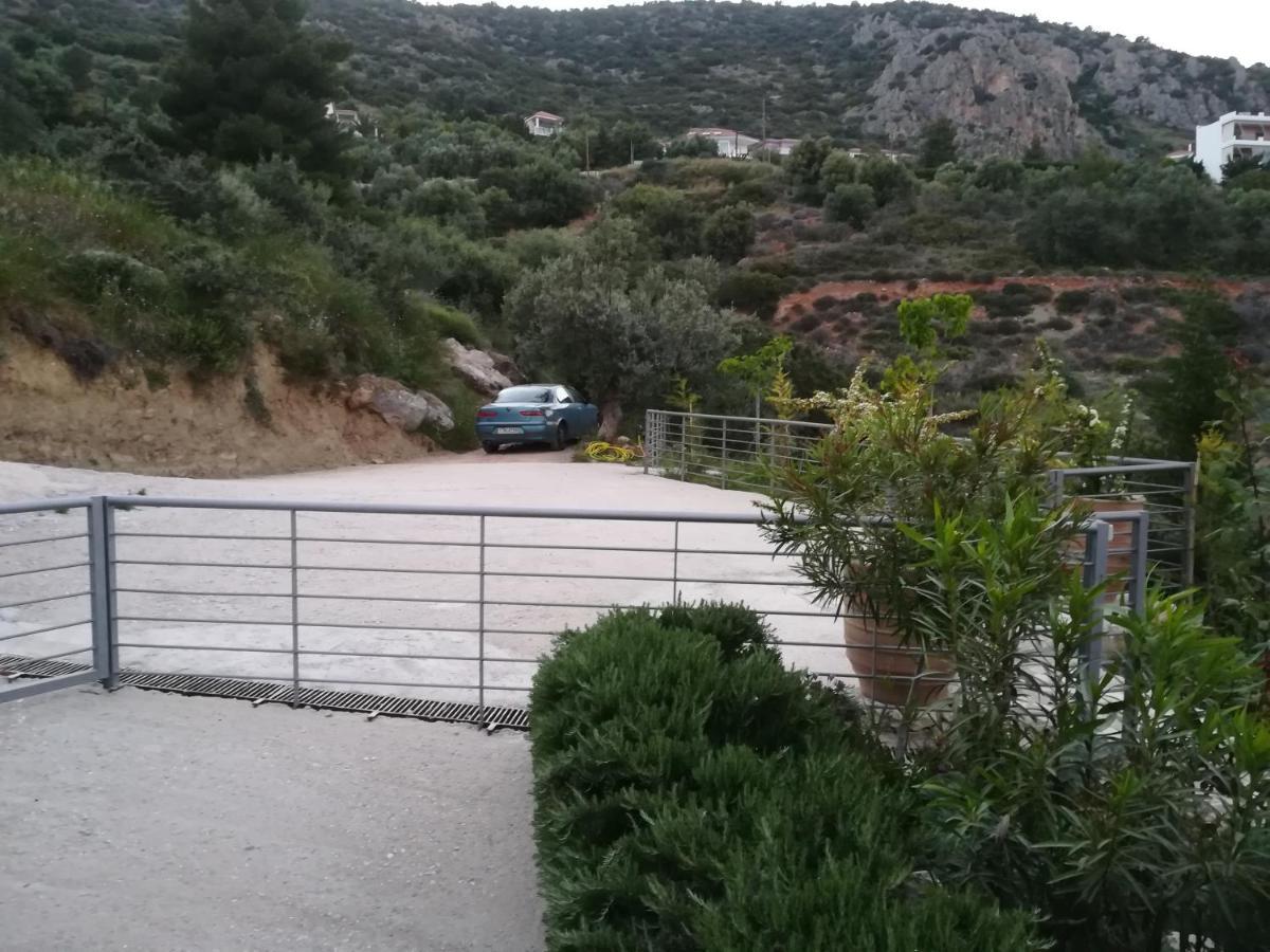 Stone House In Olive Grove Holiday home Tolo