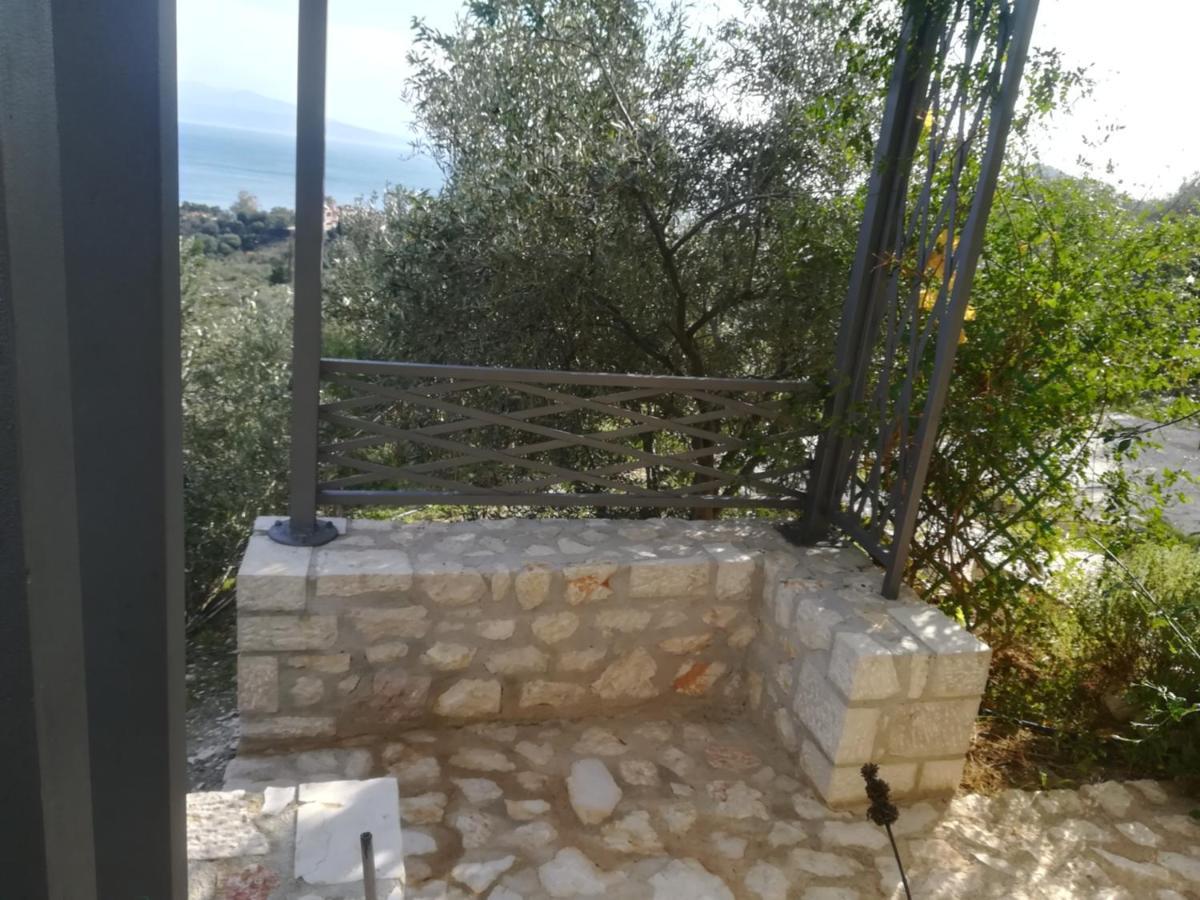Stone House In Olive Grove * Tolo