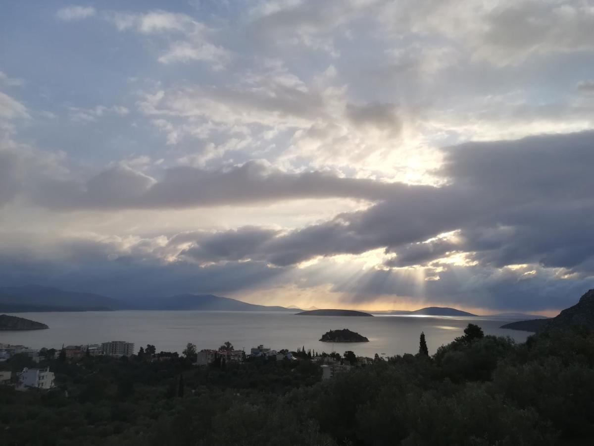Stone House In Olive Grove Holiday home