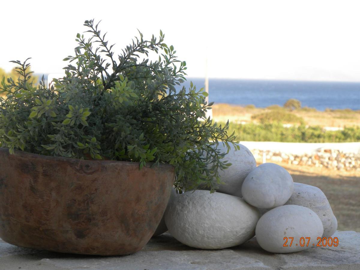 Holiday home Petradi Ambelas
