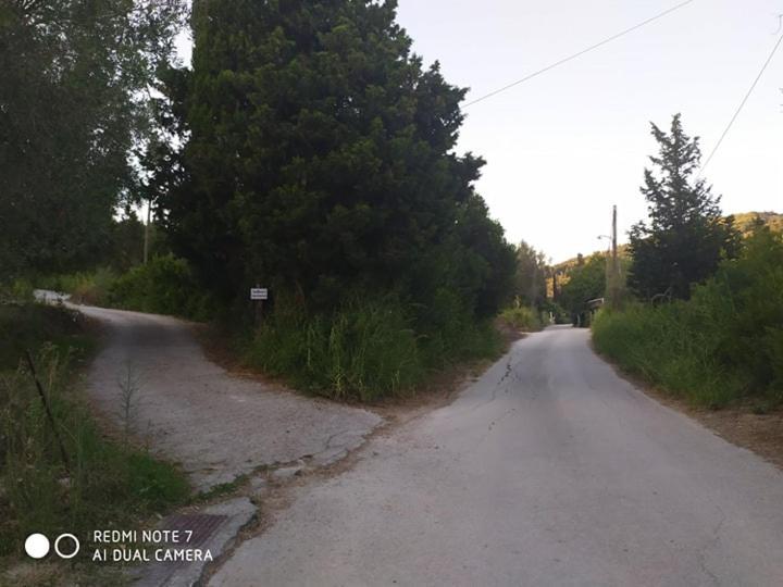 Andreas * Agios Georgios Pagon