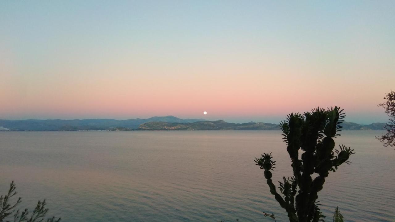 Linamare Eolos * Kiveri