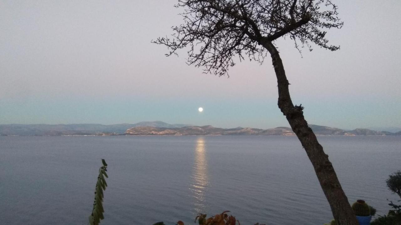Linamare Eolos *