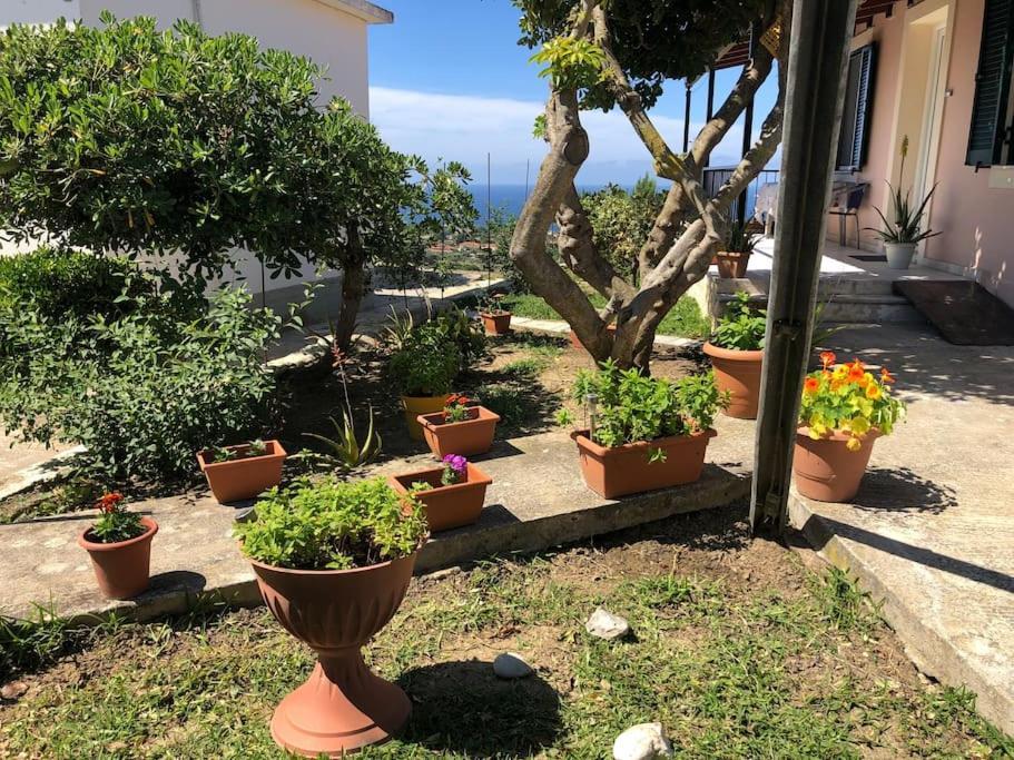 Apartment Mema's Great View Kefalonia Svoronata