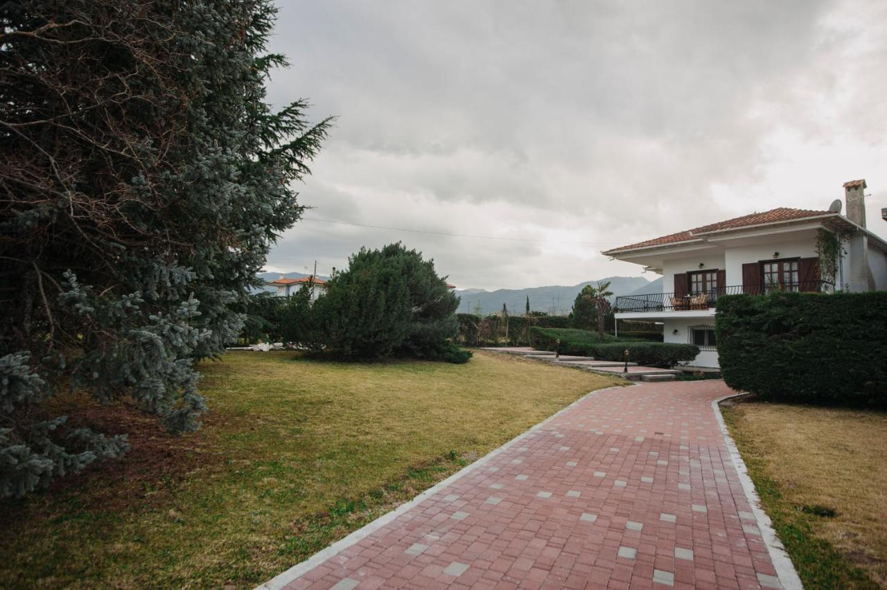 Mythic House Villa Leptokarya (Pieria)