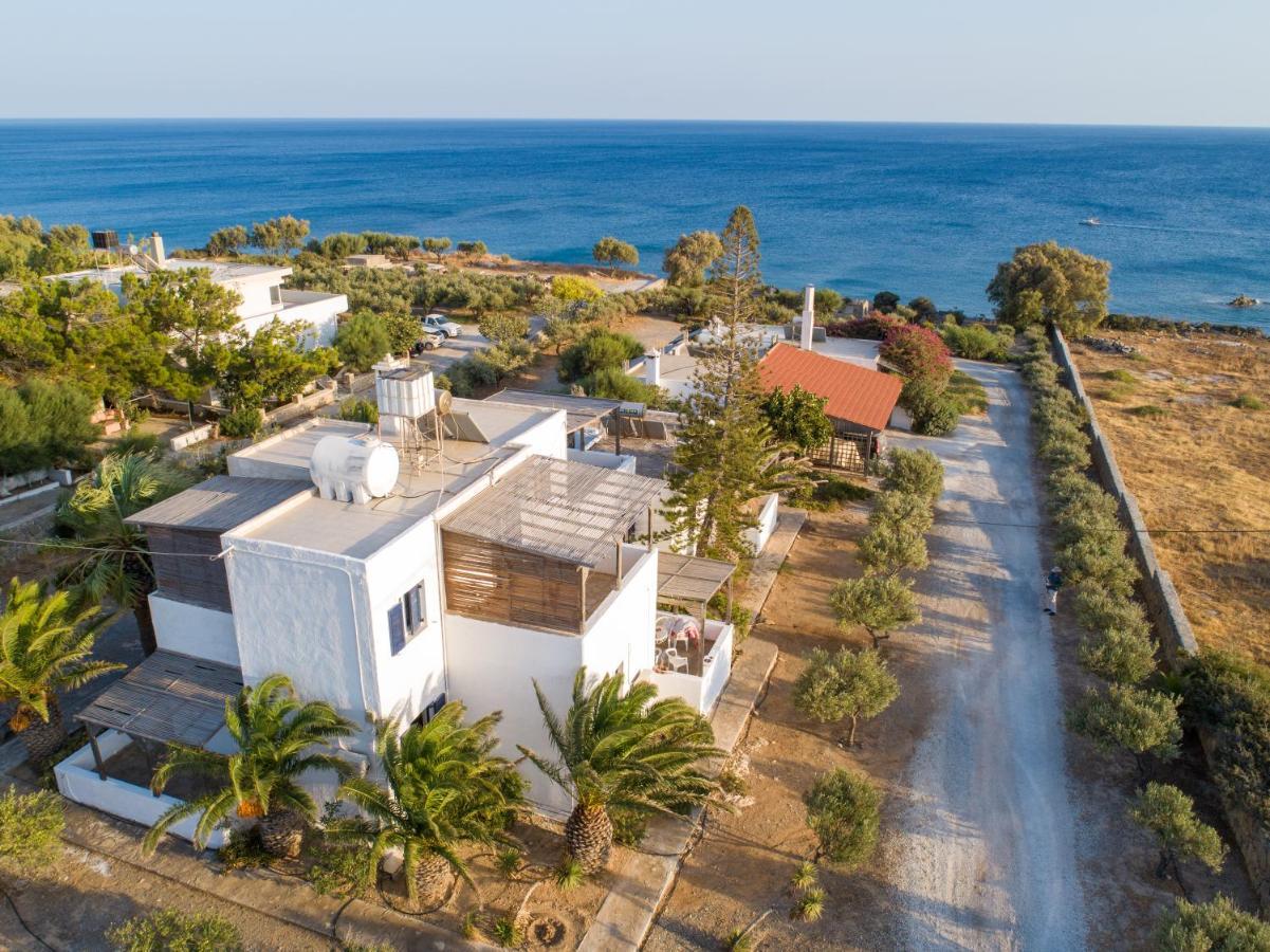 Margarita Apartment