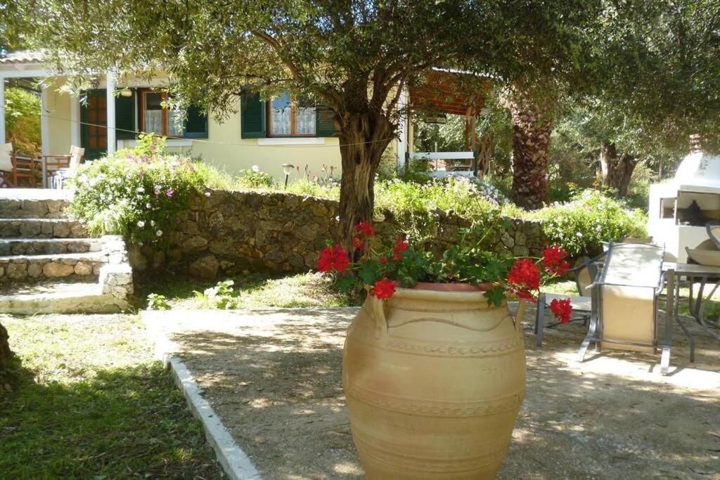 Stephanie Villa Paleokastritsa