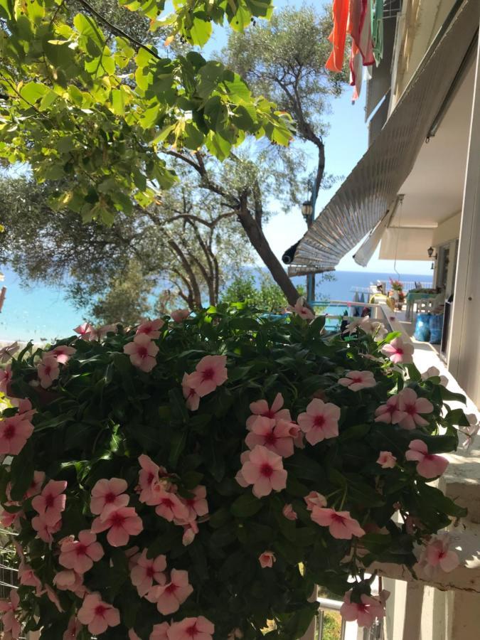 Apartment Stefani With A Sea View Terrace! Nea Moudania