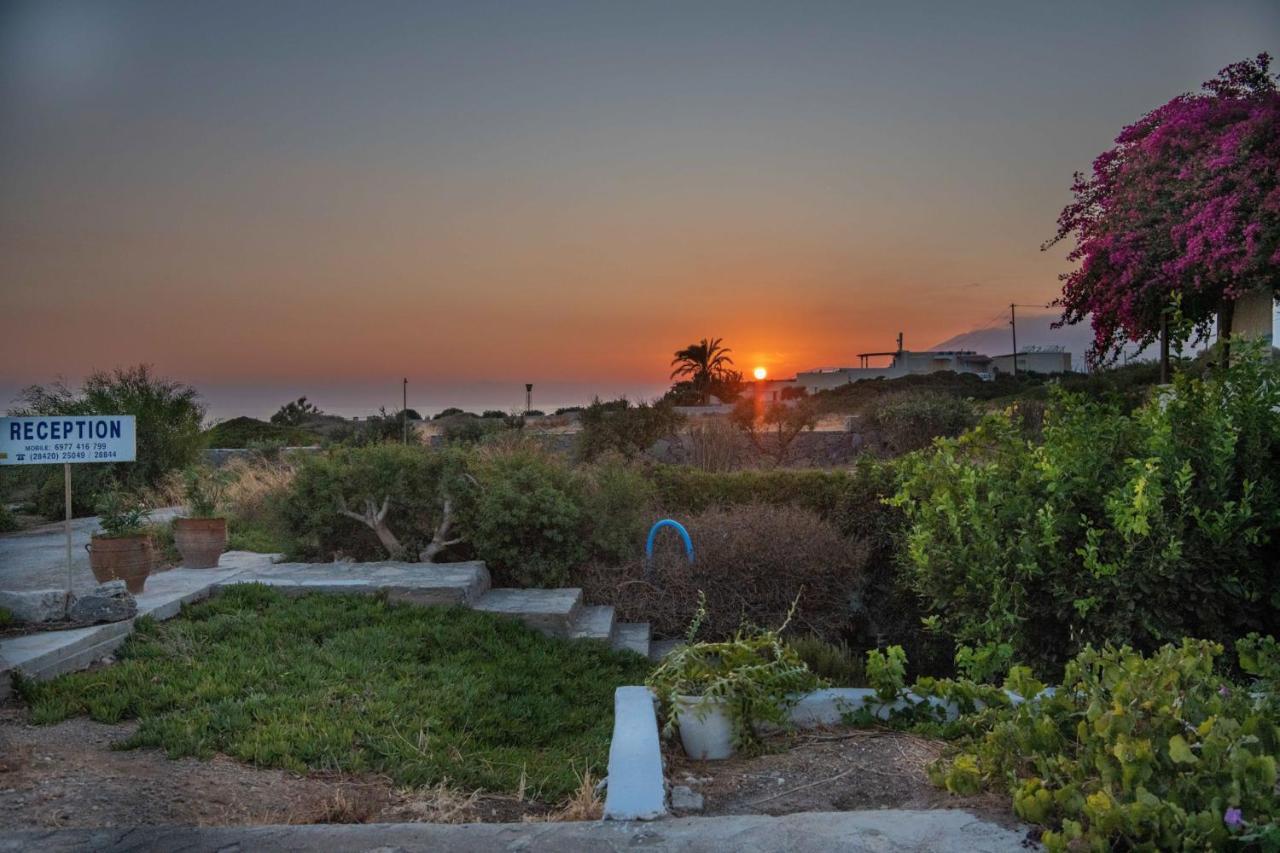 Margarita * Ierapetra (Crete)