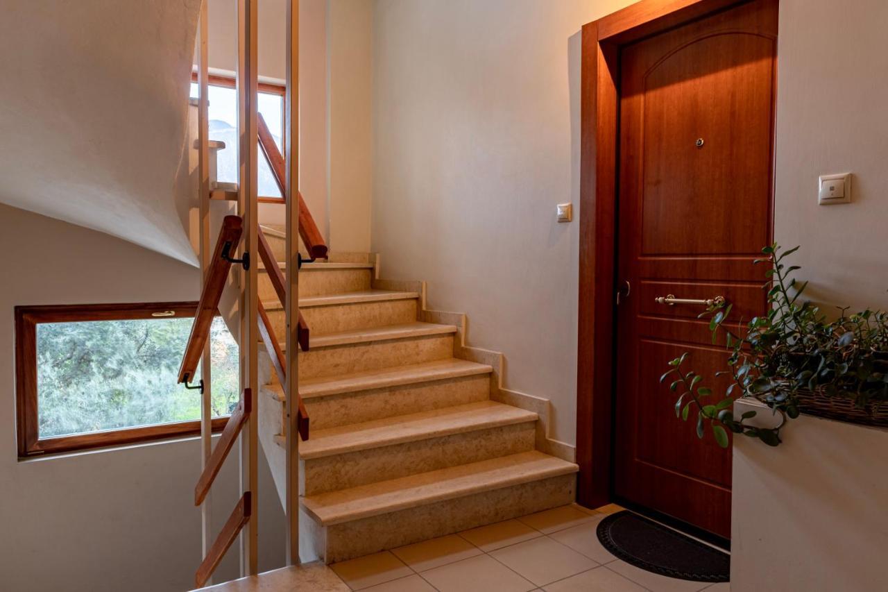 Amalias Studio