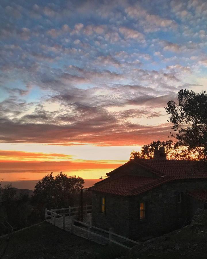 Toumba Eco Farm *