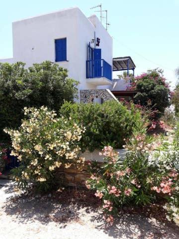 In Paros Holiday home