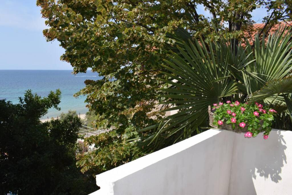 Apartment Marija With A Sea View Terrace! *