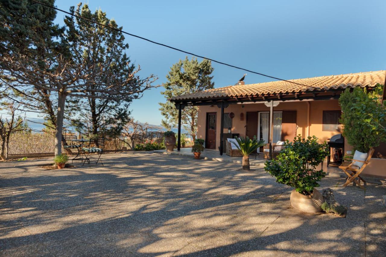 Marina's Paradise Summer House Holiday home