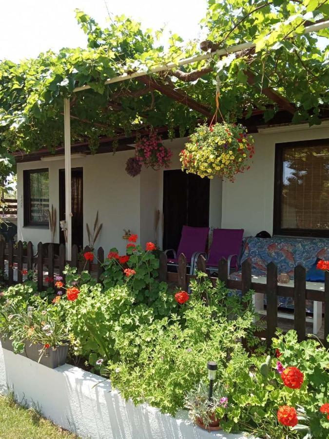 Holiday home Garden