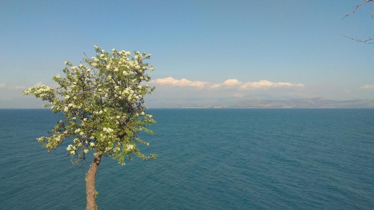 Apartment Linamare Eolos