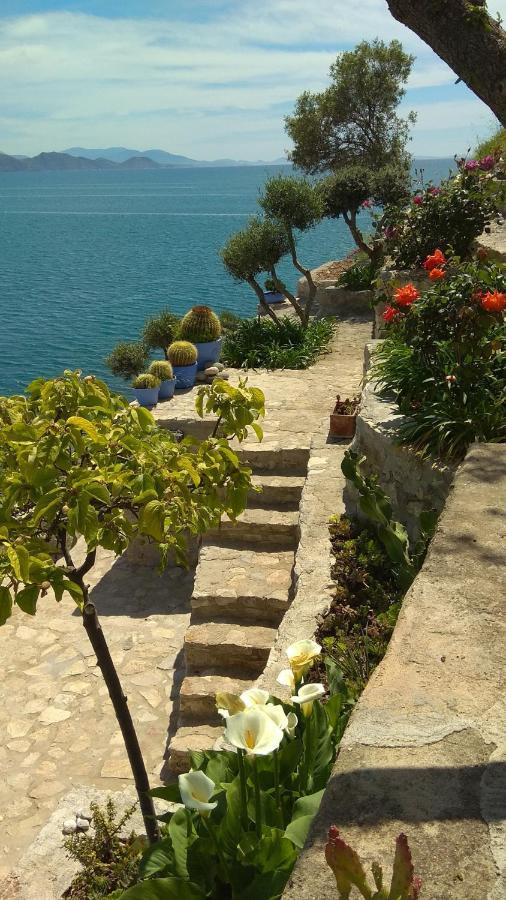 Linamare Eolos *