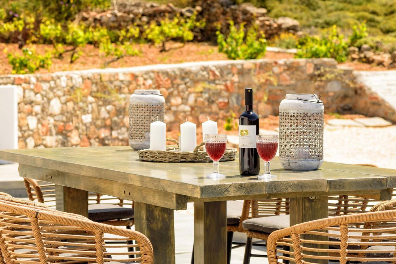 Paros Blue Senses Villa Aliki (Paros)