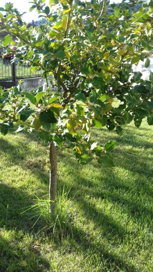 Guest house Ageri Karpenisi