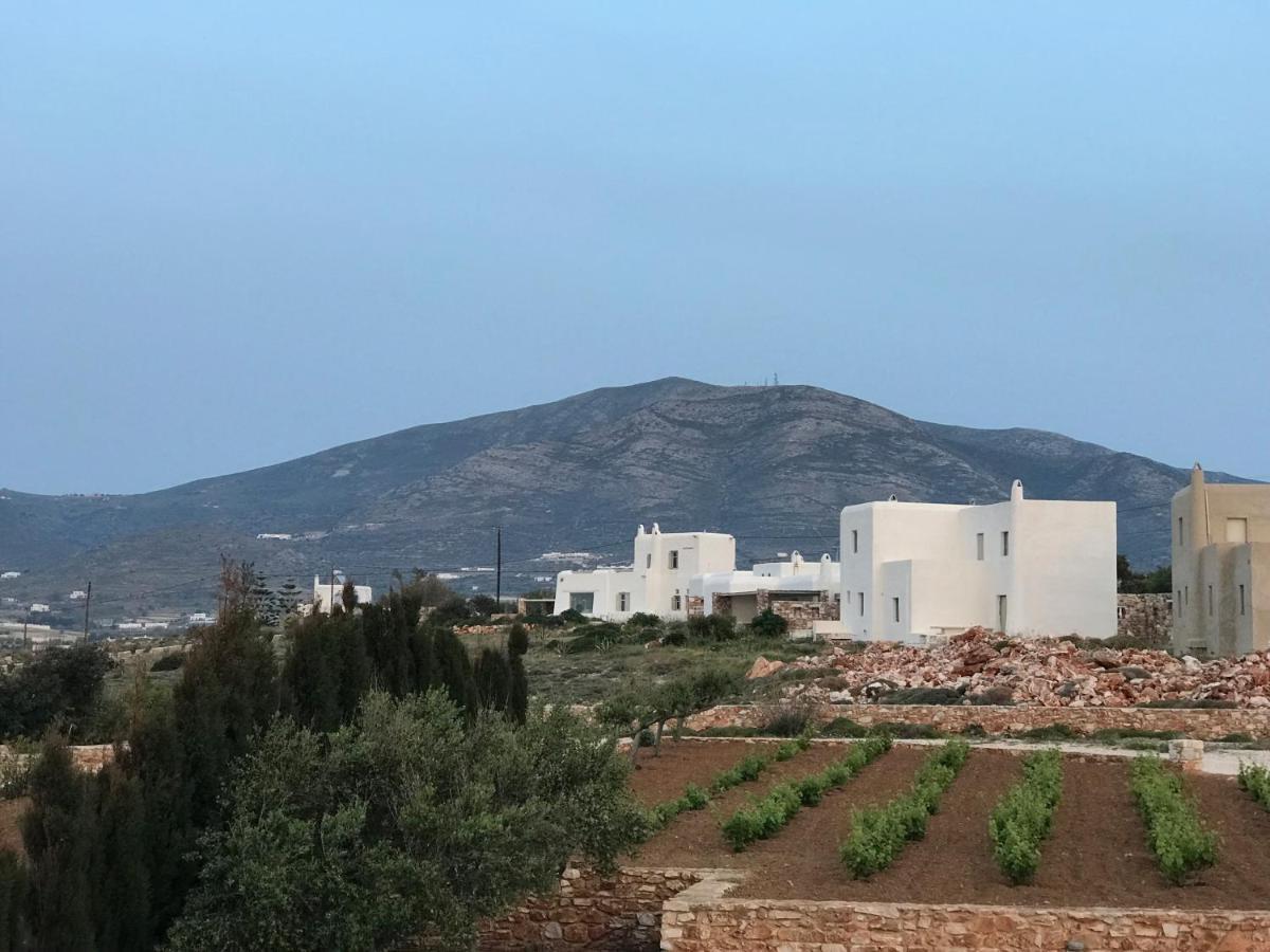 Holiday home Seaside With Hot Tub, Vineyard, Shared Pool And View Parikia (Paros)