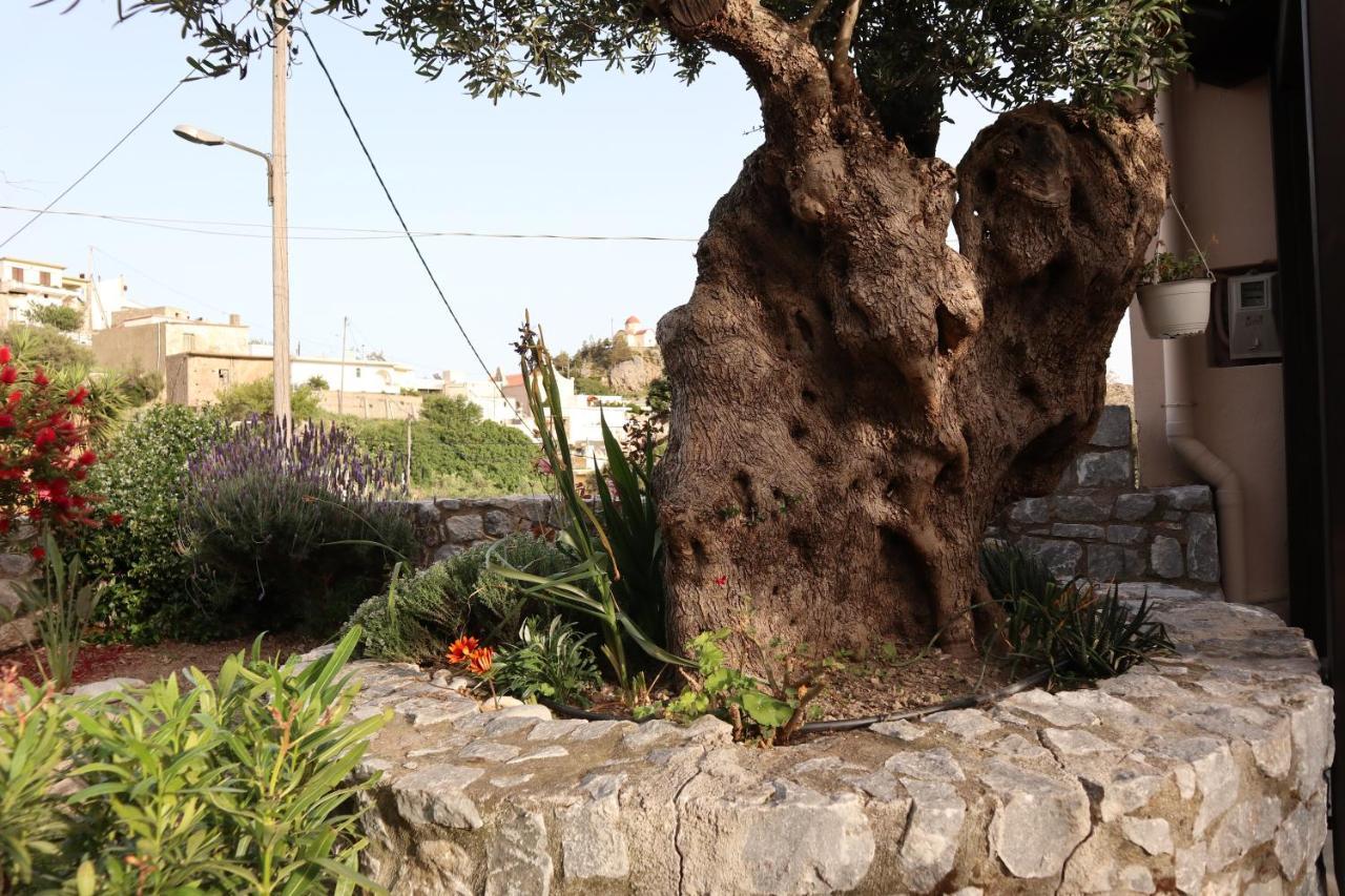 Petasos House - Garden - Sea View Villa Sellia (Rethymno)