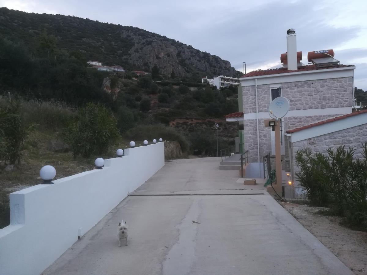 Holiday home Stone House In Olive Grove Tolo