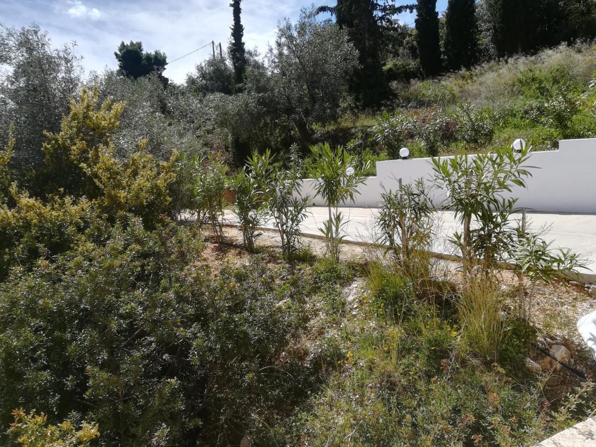Stone House In Olive Grove Tolo