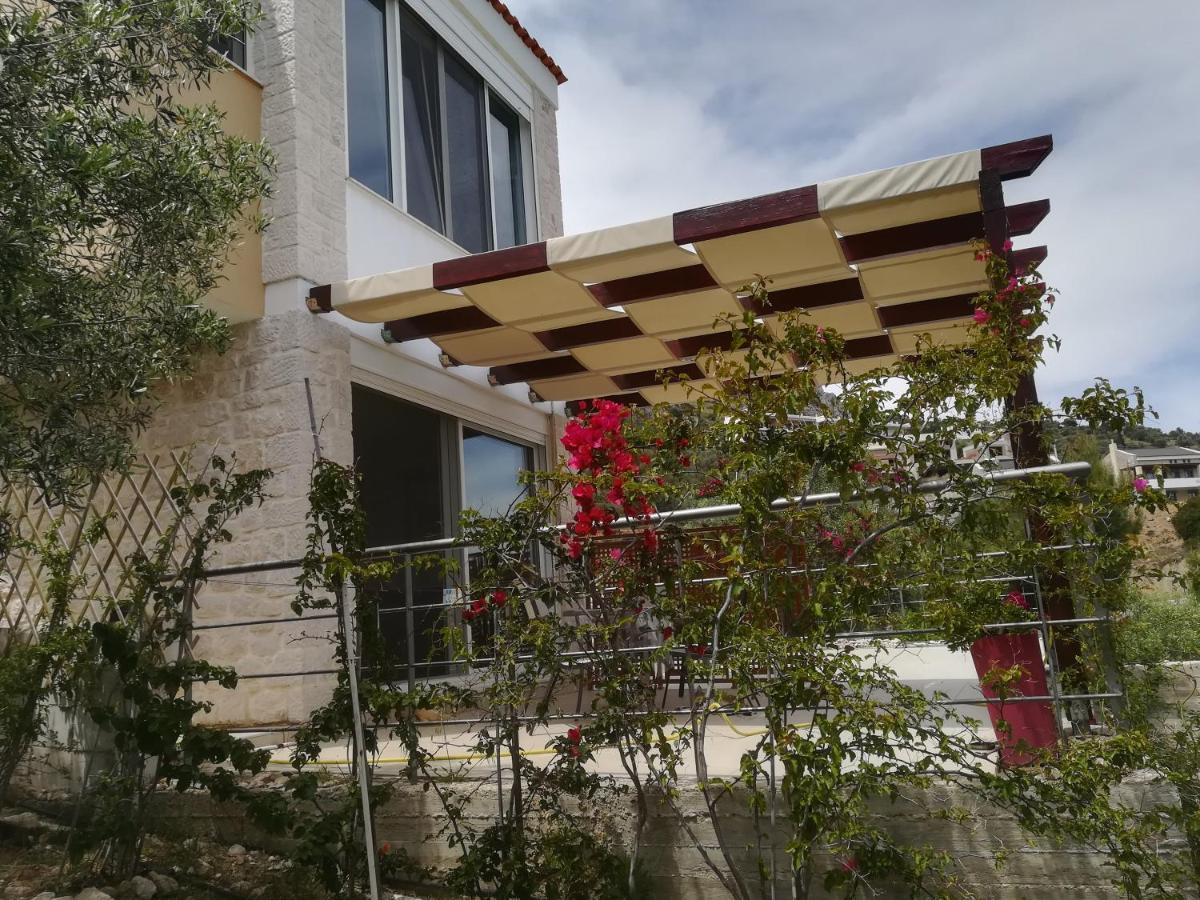 Stone House In Olive Grove