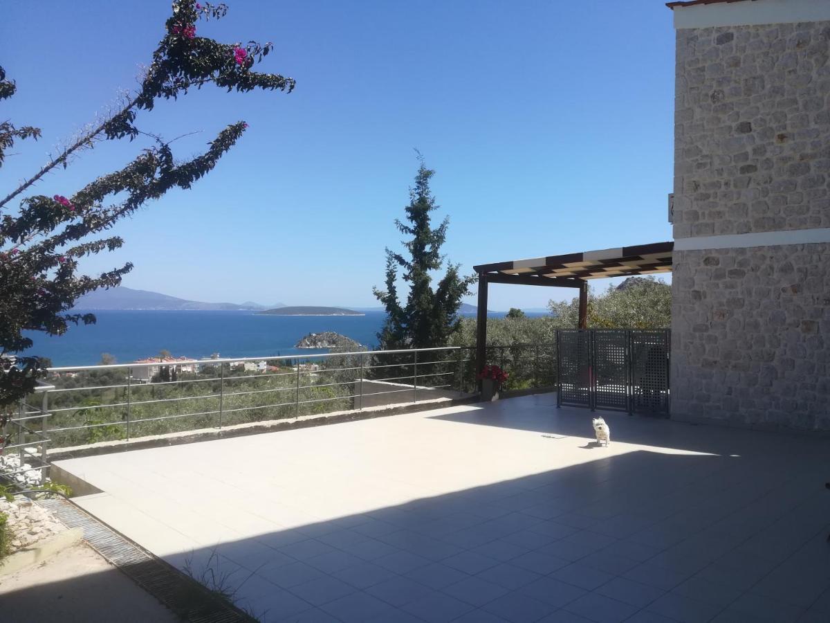 Stone House In Olive Grove Tolo