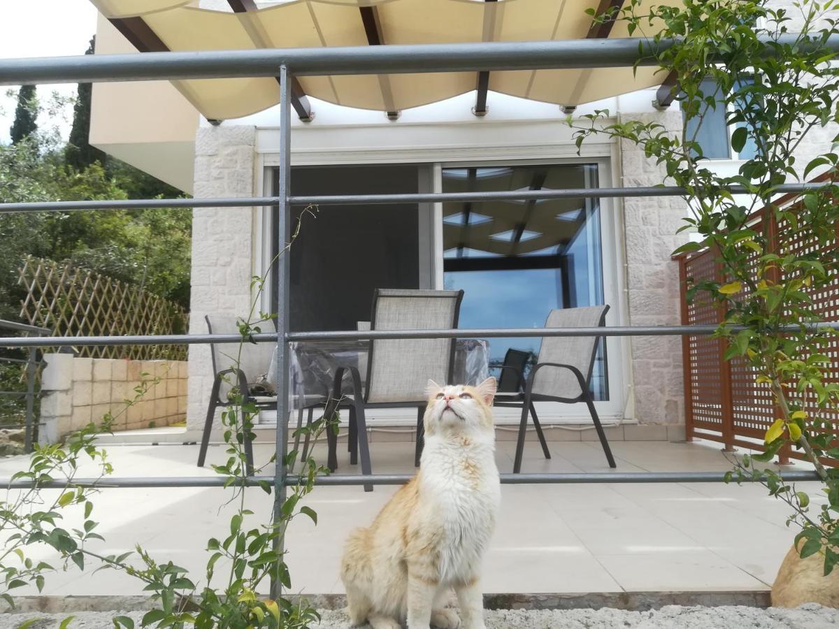 Stone House In Olive Grove Holiday home Tolo