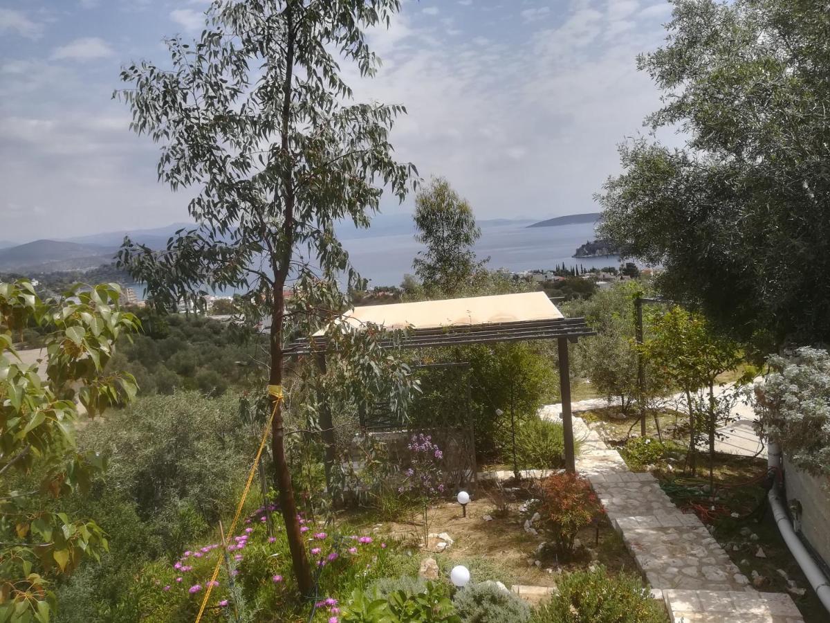 Stone House In Olive Grove Holiday home *