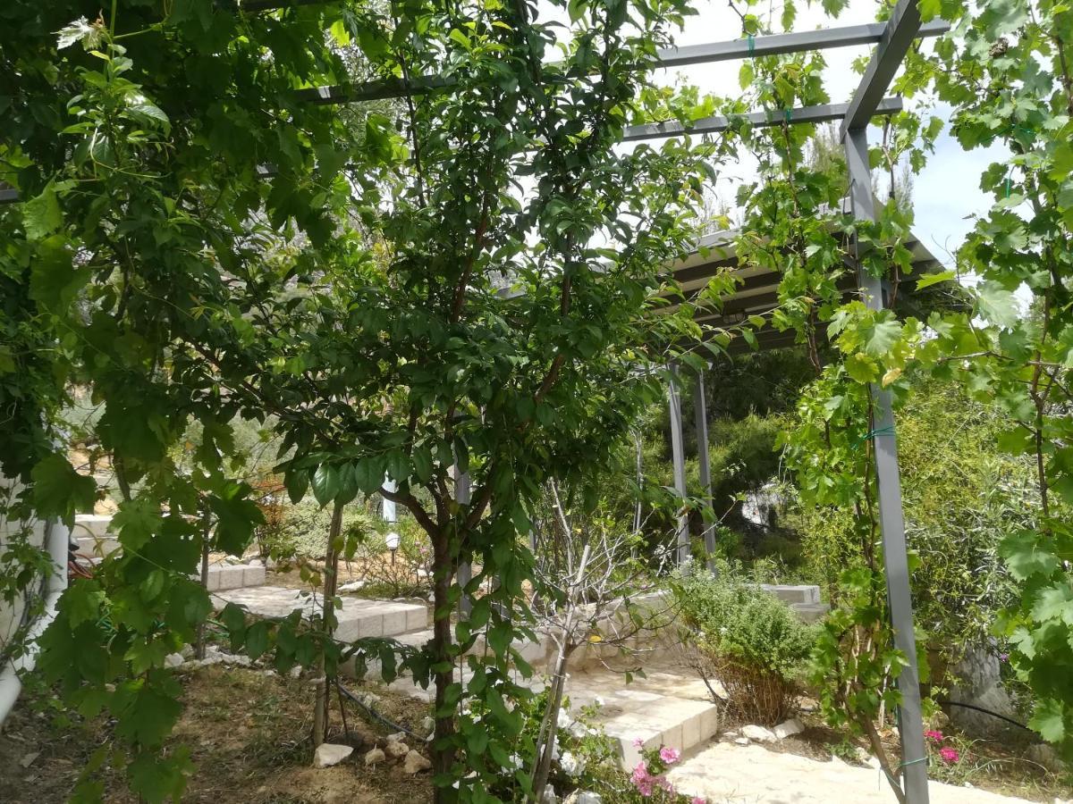 Stone House In Olive Grove Holiday home *