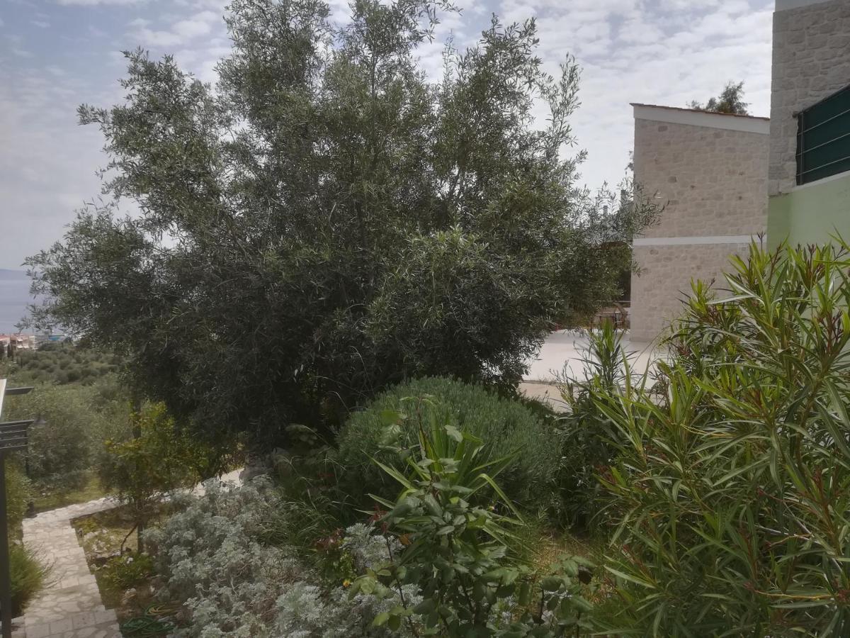 Stone House In Olive Grove Holiday home