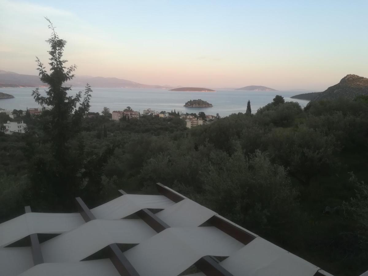 Holiday home Stone House In Olive Grove Tolo