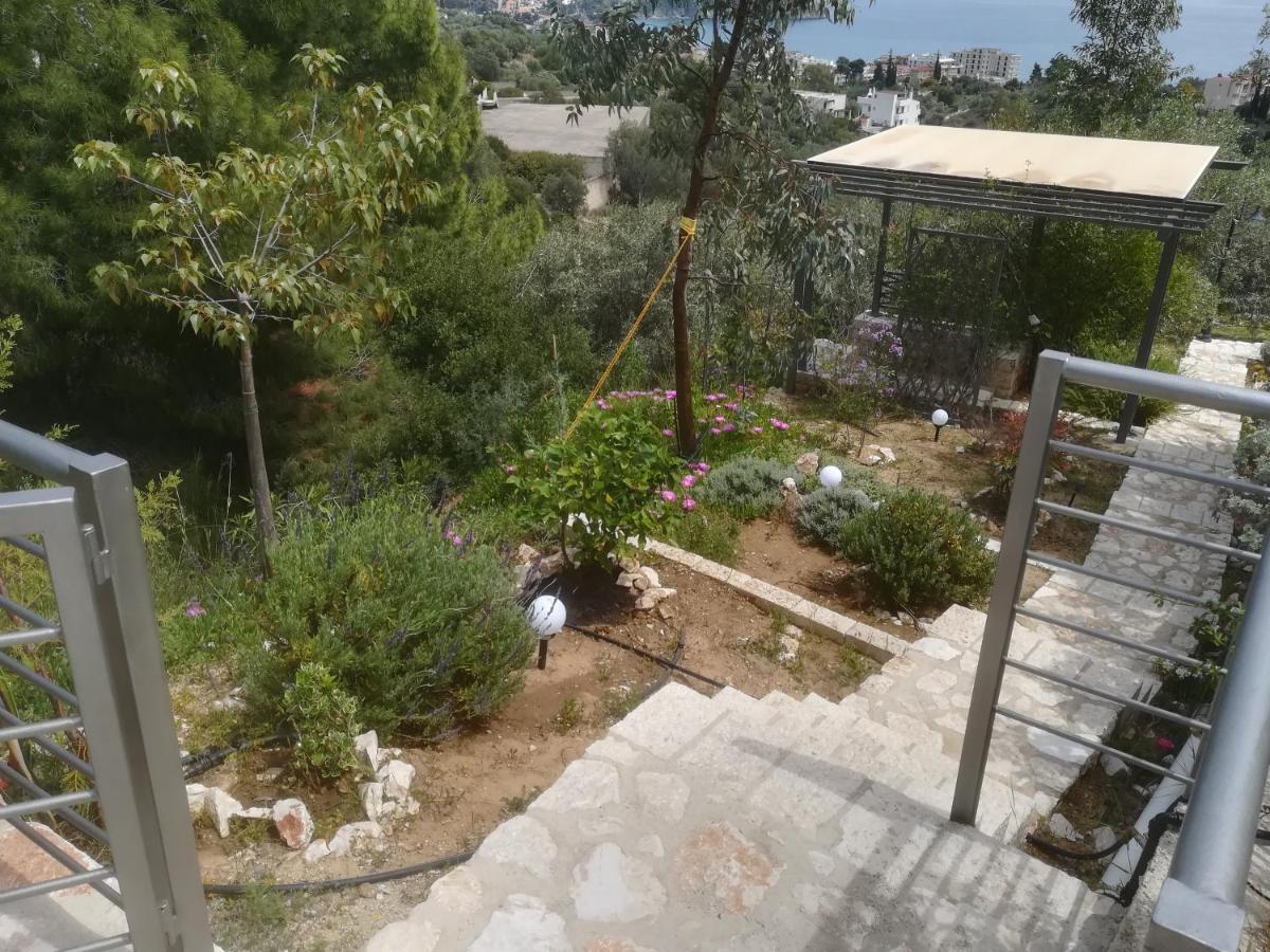 Holiday home Stone House In Olive Grove Tolo