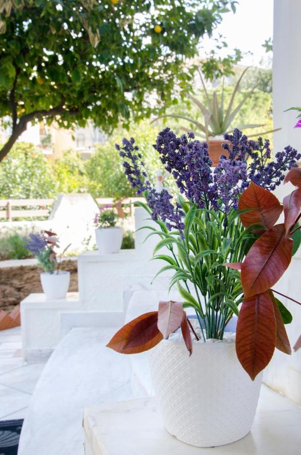 Garden House Palaio Faliro Apartment