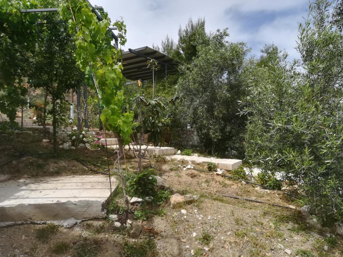 Holiday home Stone House In Olive Grove Tolo