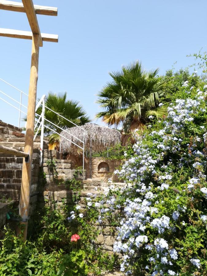 Lemon Tree Holiday home